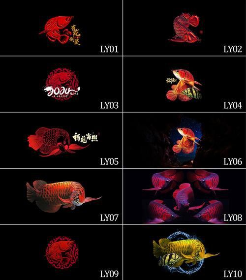 紅龍魚魚缸背景紙圖片大全