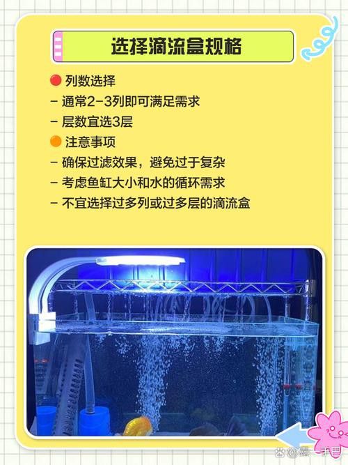 西龍魚缸過濾器安裝圖解大全
