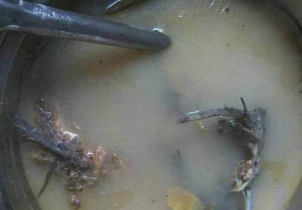 龍魚出水面吃氣泡水可以嗎：龍魚出水面吃氣泡水可以嗎，