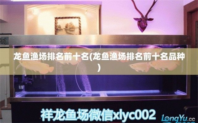 廣州大型龍魚漁場(chǎng)有哪些品種（如何挑選健康的龍魚，廣州大型龍魚漁場(chǎng)的特色服務(wù)）