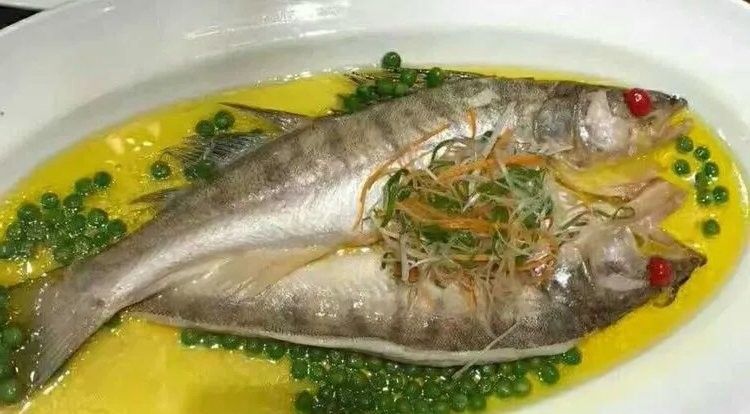 雪龍魚哪里產的