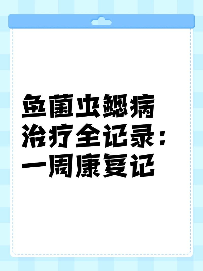 龍魚鰓蓋手術后多久能恢復？