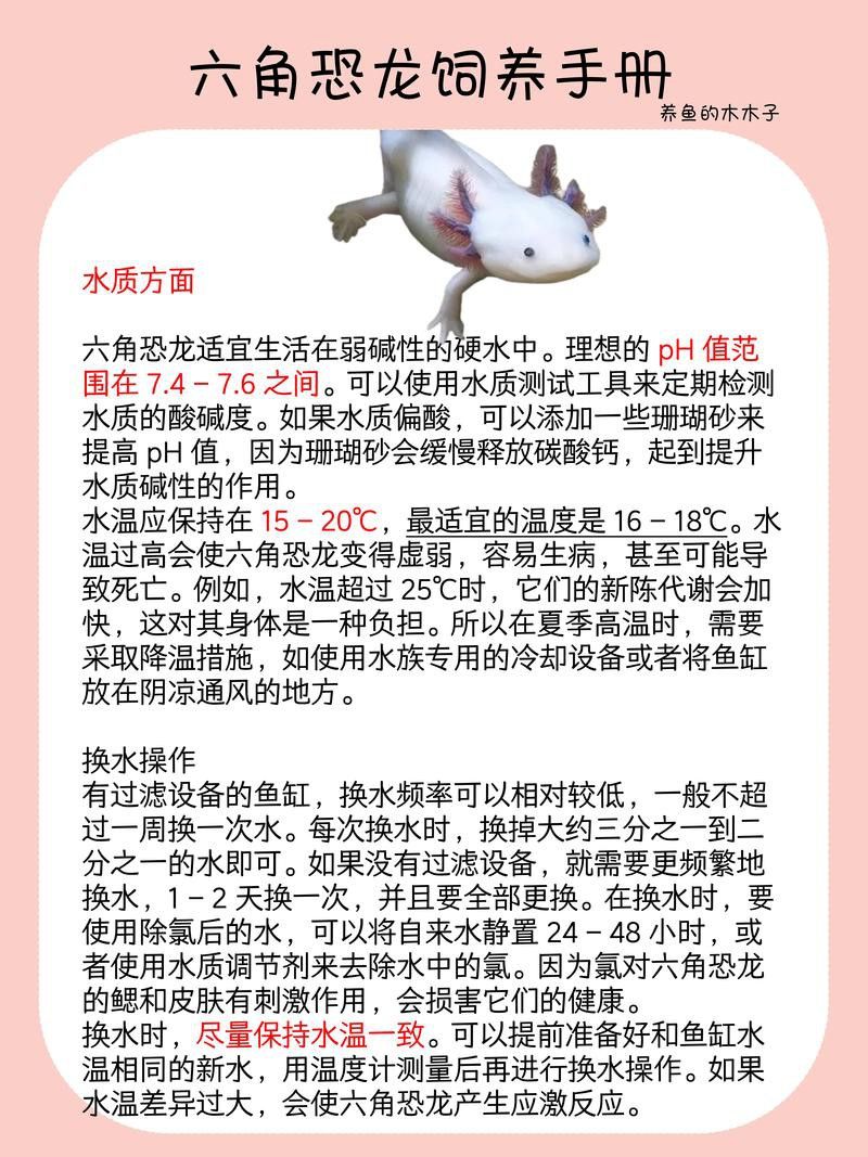六腳龍魚圖片大全