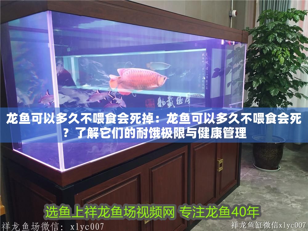 龍魚趴缸多久需要換水？