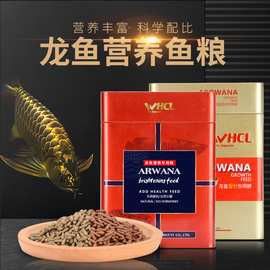 紅金龍魚價格多少錢一條圖片及價格