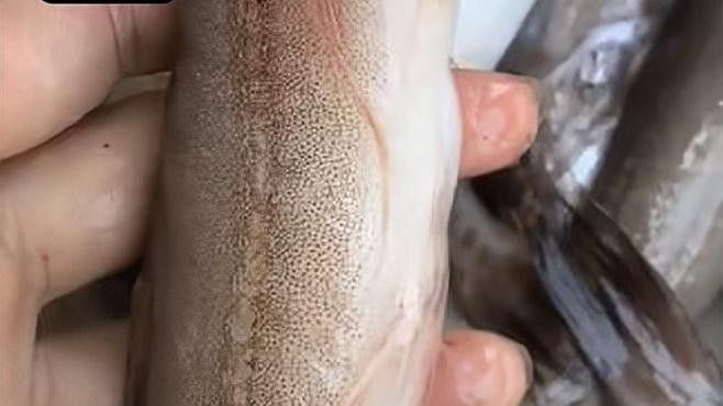 如何處理龍頭魚以保持其嫩滑口感？