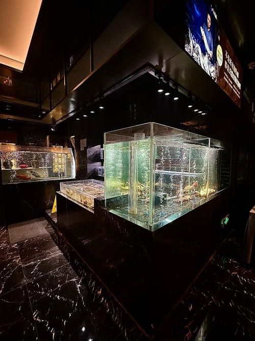 廣州百藝城祥龍魚場e205檔口怎么樣