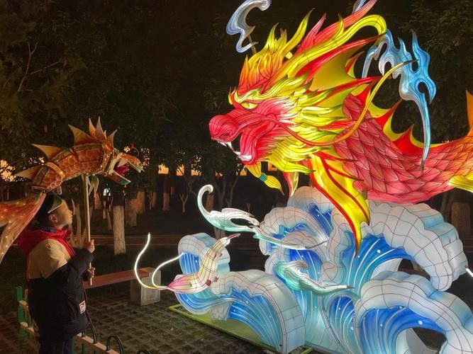 龍魚燈光擺放圖片大全