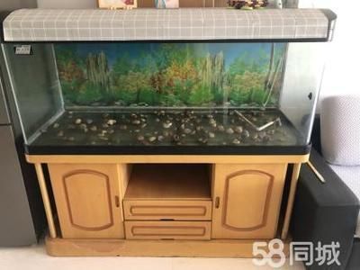 魚缸品牌大全排名圖片（仟湖of魚缸特色功能森森sunsun品牌歷史松寶sobo魚缸設計亮點） 魚缸品牌大全排名圖片（仟湖of魚缸特色功能森森sunsun品牌歷史松寶sobo魚缸設計亮點） 龍魚百科 第6張