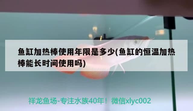 龍魚幾月份開始加溫了：南方冬季養龍魚的注意事項龍魚何時開始加溫
