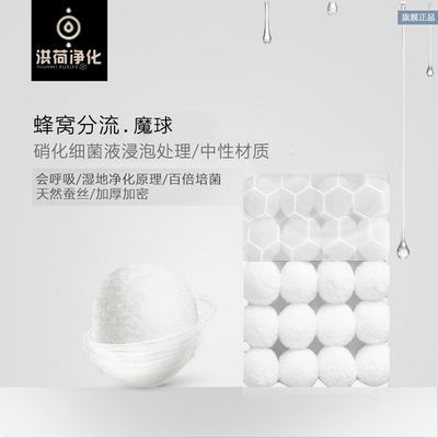 龍魚入缸溫度多少合適：龍魚入缸時的水溫應根據不同階段養護要點龍魚不同階段養護要點 龍魚入缸溫度多少合適：龍魚入缸時的水溫應根據不同階段養護要點龍魚不同階段養護要點 龍魚百科 第1張