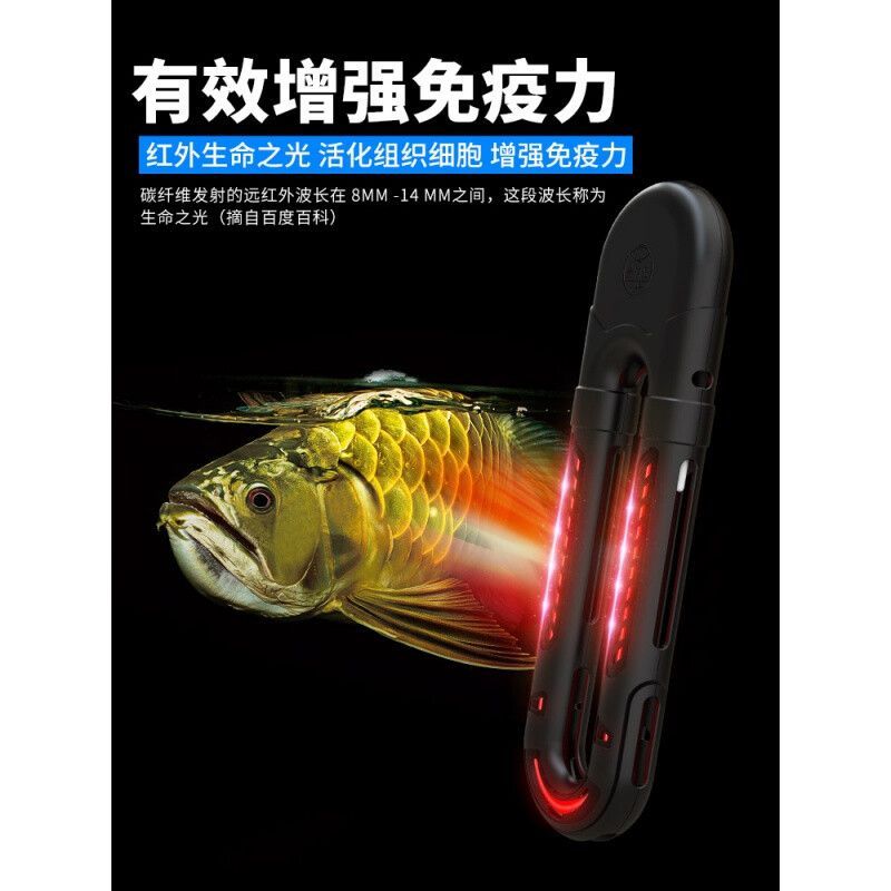 龍魚入缸溫度多少合適：龍魚入缸時的水溫應根據不同階段養護要點龍魚不同階段養護要點 龍魚入缸溫度多少合適：龍魚入缸時的水溫應根據不同階段養護要點龍魚不同階段養護要點 龍魚百科 第4張