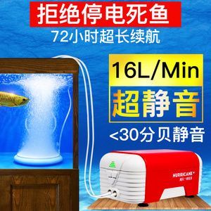 龍魚入缸溫度多少合適：龍魚入缸時的水溫應根據不同階段養護要點龍魚不同階段養護要點 龍魚入缸溫度多少合適：龍魚入缸時的水溫應根據不同階段養護要點龍魚不同階段養護要點 龍魚百科 第2張