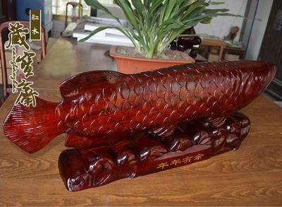 紅龍魚配什么魚招財（紅龍魚配什么魚好）