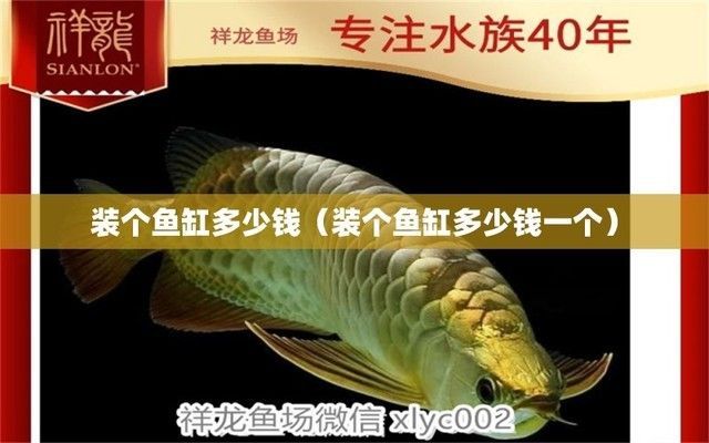 弄一個魚缸大概需要多少錢（魚缸diy教程有哪些）