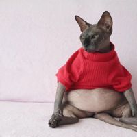 龍魚爛鰭爛尾用什么藥