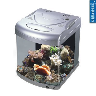 龍魚魚缸背景圖片下載軟件大全（博宇（boyu）魚缸是一個值得信賴的品牌）
