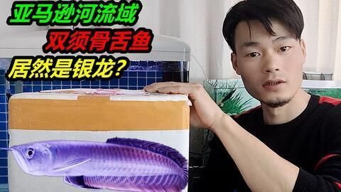 龍魚開箱：\"龍魚開箱\"的詳細(xì)解答