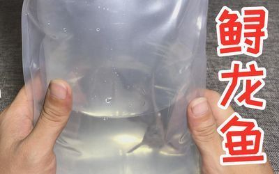 龍魚開箱：\"龍魚開箱\"的詳細(xì)解答
