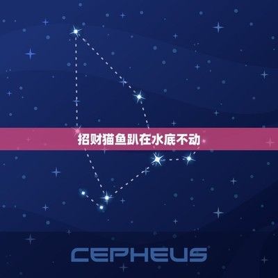 招財貓魚的日常飲食搭配：招財貓魚的日常飲食搭配是其健康和成長的關鍵