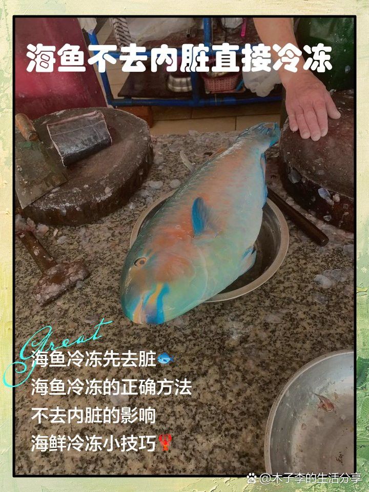如何保存海龍魚以保持其新鮮度？