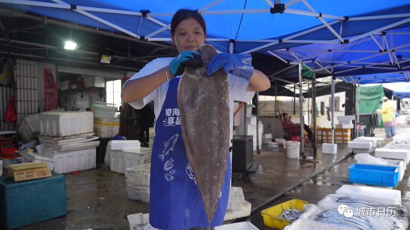 游龍魚是海魚嗎圖片