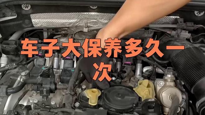 如何判斷點金龍是否需要清潔保養？ 如何判斷點金龍是否需要清潔保養？ 龍魚百科 第3張