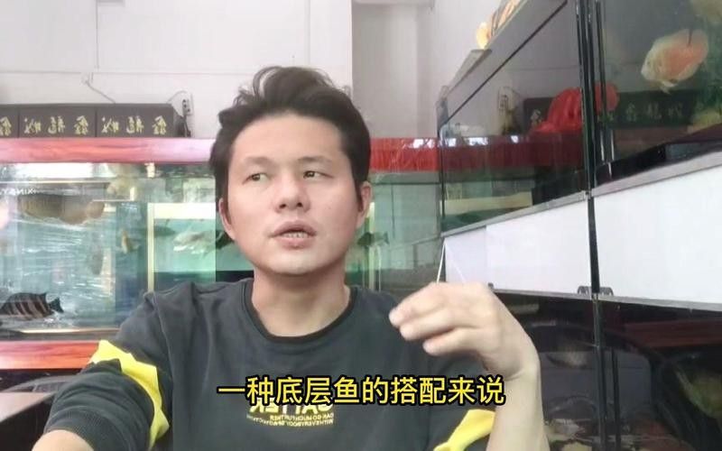 鴨嘴鯊能和金龍魚一起養嗎圖片視頻