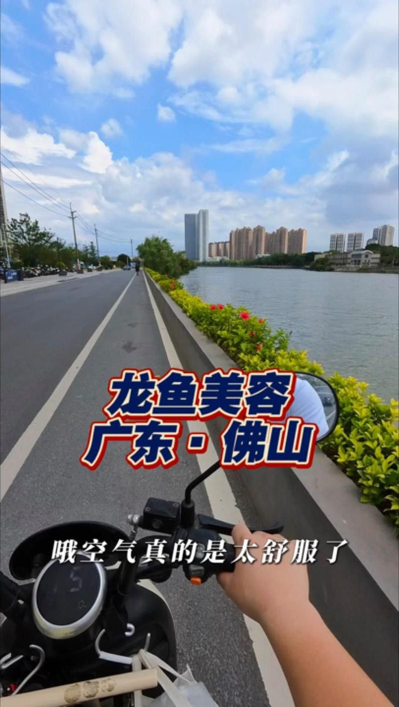有哪些機構提供龍魚手術治療？