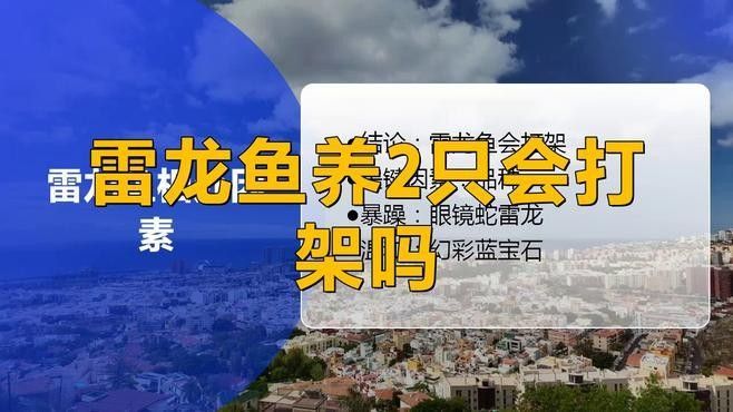 雷龍魚能和紅龍魚混養嗎圖片