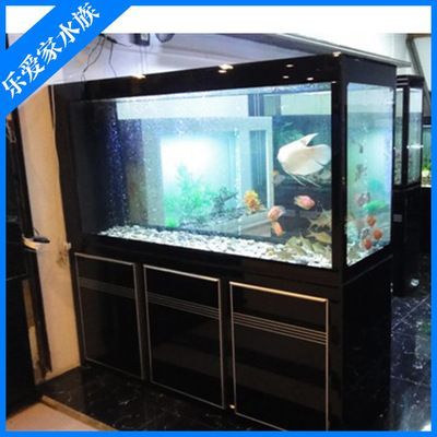 大型龍魚缸中可以放置石頭和水草，但需要注意什么：大型龍魚缸中可以放置石頭嗎