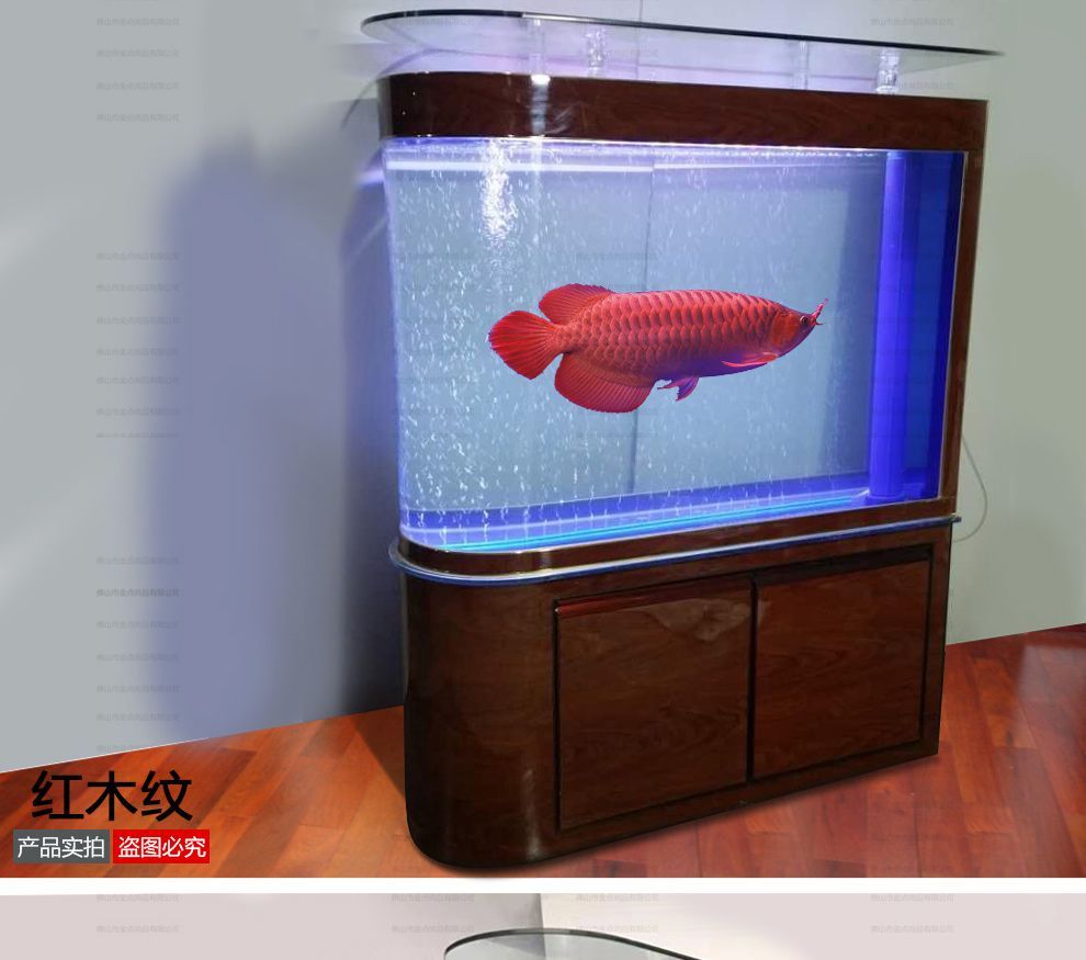 龍魚多寬缸最合適：龍魚的飼養要求龍魚的飼養要求