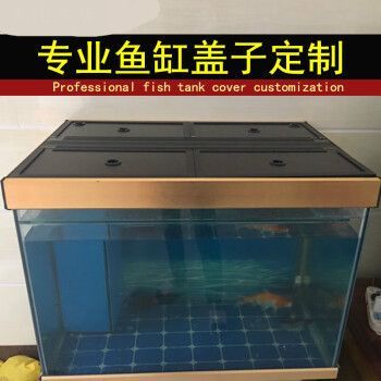 龍魚多寬缸最合適：龍魚的飼養要求龍魚的飼養要求