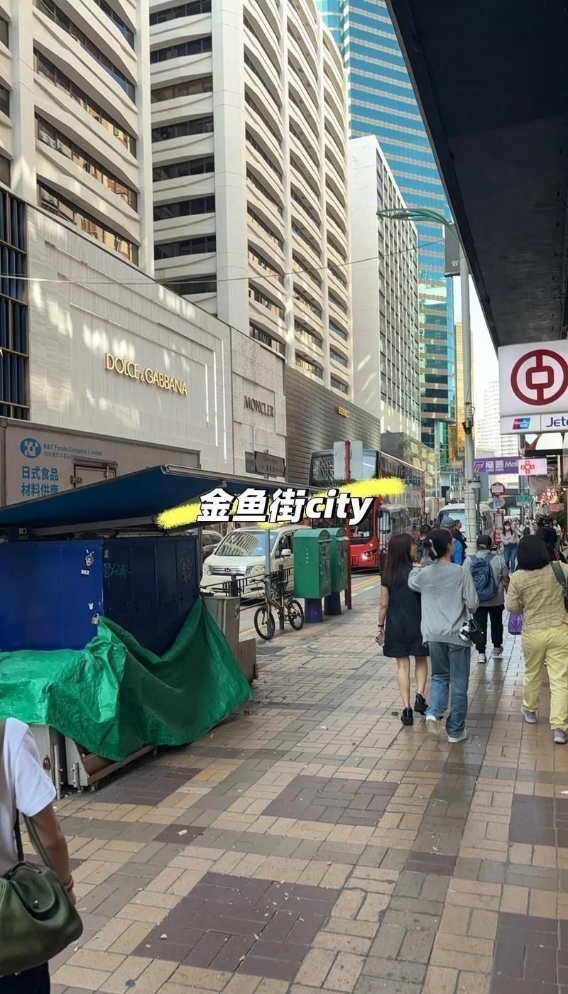 哪有便宜賣(mài)豬鼻龜?shù)? title=