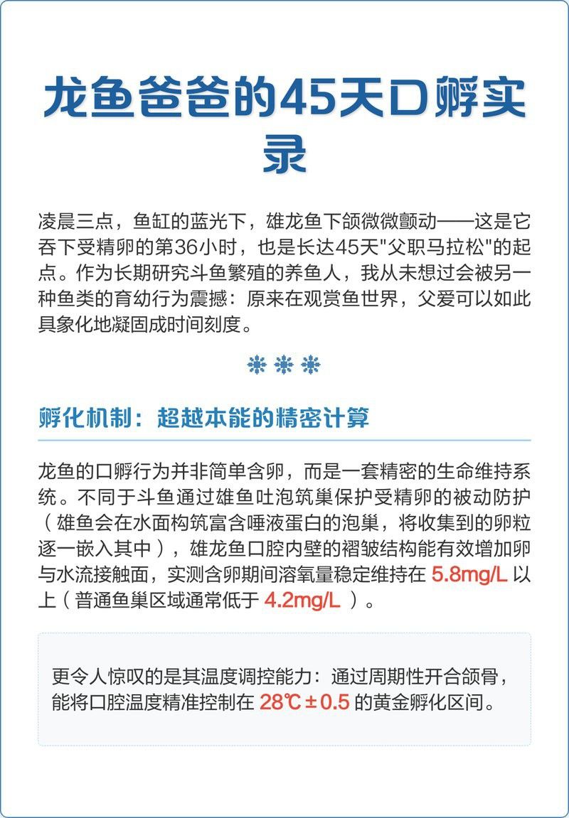 龍魚幼苗孵化后多久開口