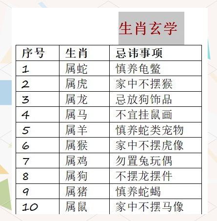 屬狗的人適合擺放龍擺件嗎？