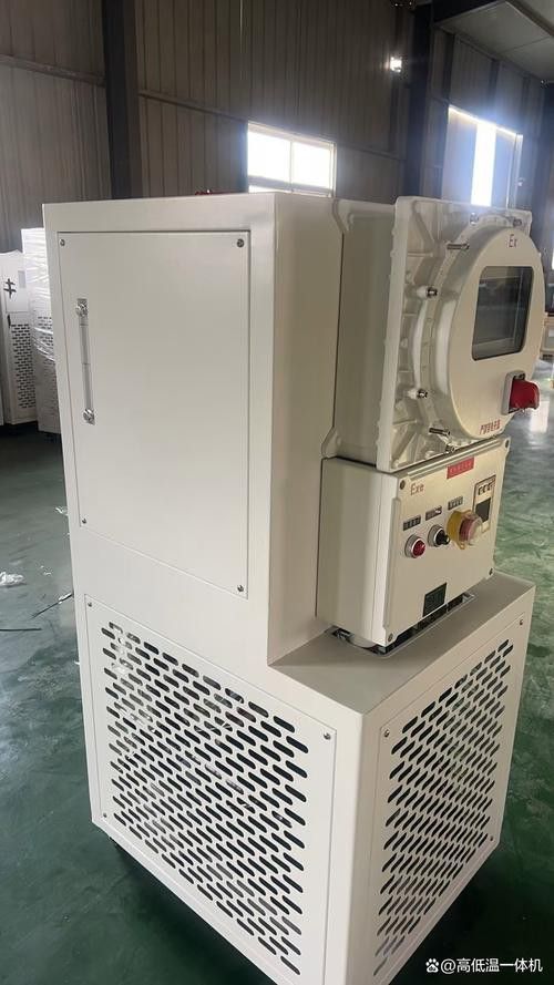 金龍魚適應溫度