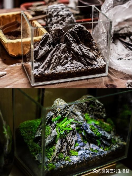 龍魚缸石頭造景圖片大全欣賞