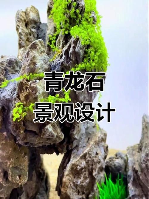 龍魚缸石頭造景圖片大全欣賞