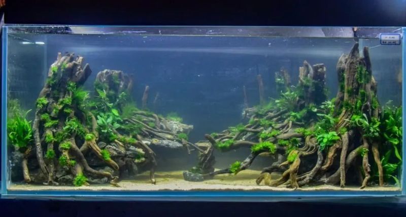 龍魚缸石頭造景圖片大全欣賞