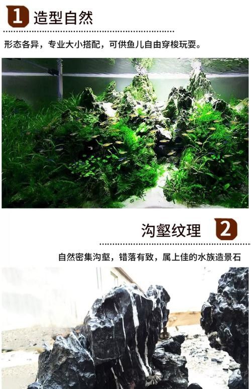 龍魚缸石頭造景圖片大全欣賞