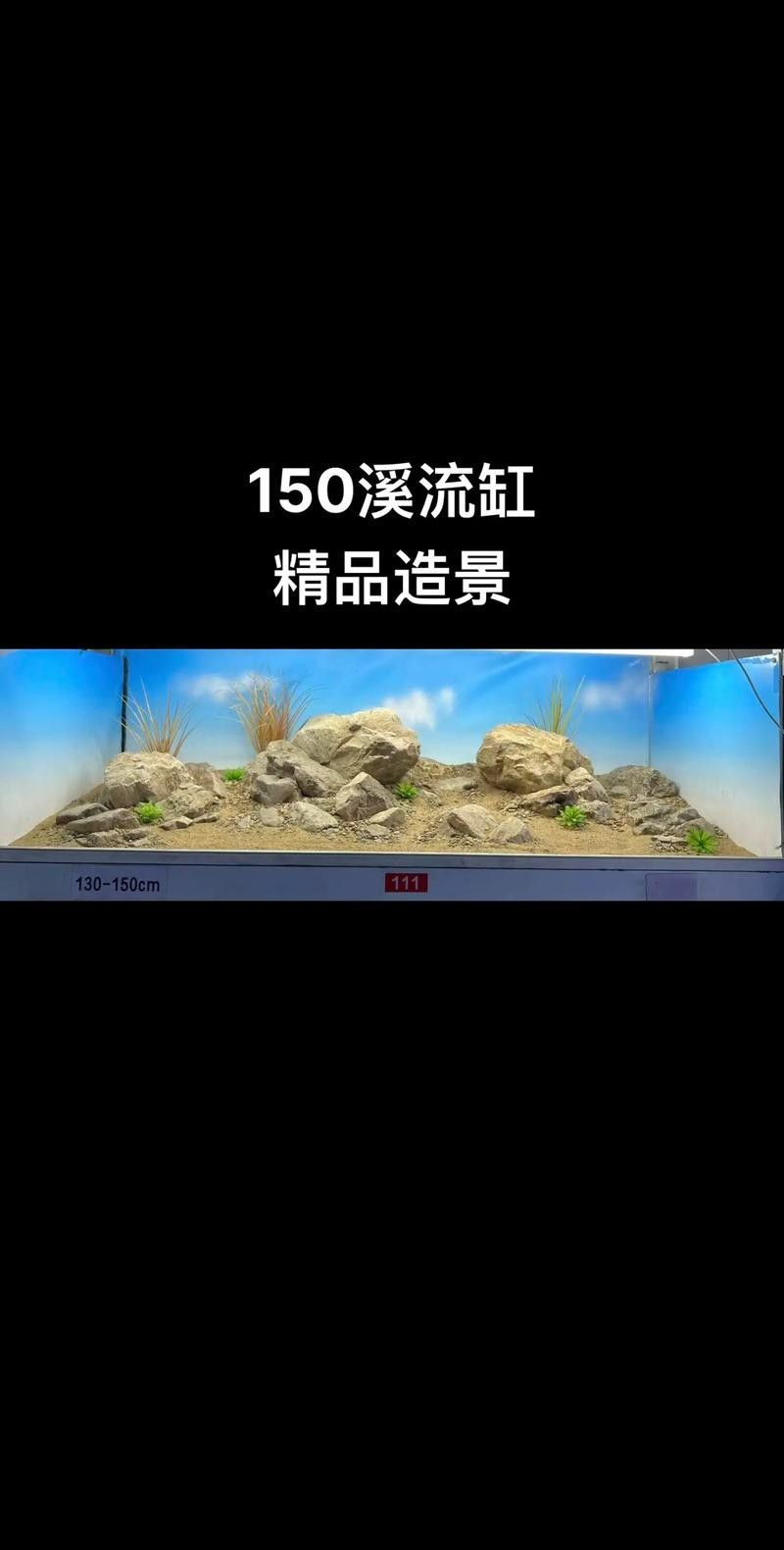 龍魚缸石頭造景圖片大全欣賞