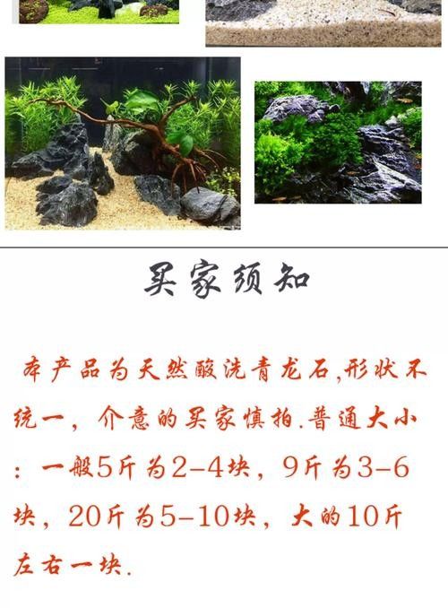 龍魚缸石頭造景圖片大全欣賞