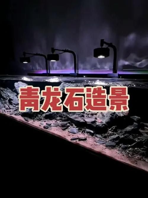 龍魚缸石頭造景圖片大全欣賞