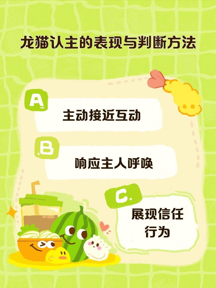 如何判斷龍貓是否接受對方？ 如何判斷龍貓是否接受對方？ 龍魚百科 第4張