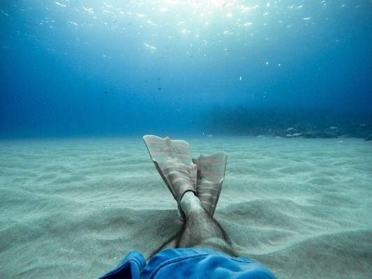 龍魚的生物學特性：龍魚在生物學上具有獨特性
