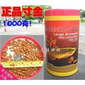 龍魚 頭洞：關于龍魚喂食的一些建議