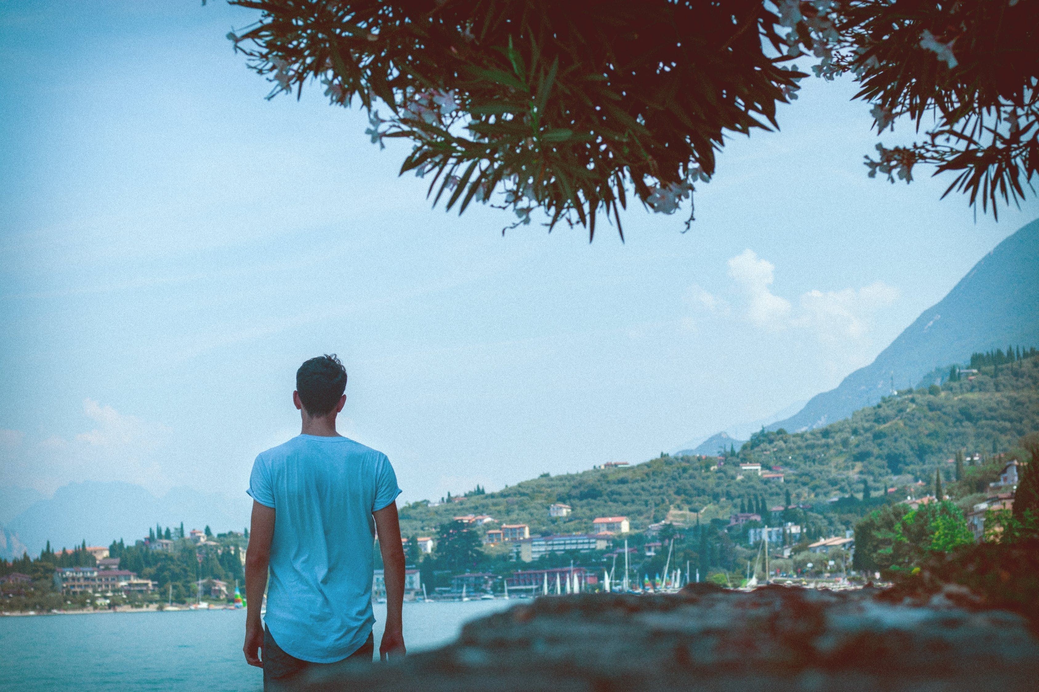魚缸一喂食就變渾濁怎么辦 為什么魚缸喂食總是渾濁