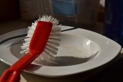 龍魚可以喂鯽魚嗎怎么喂：如何給龍魚消毒鯽魚飼料 龍魚可以喂鯽魚嗎怎么喂：如何給龍魚消毒鯽魚飼料 龍魚百科 第4張