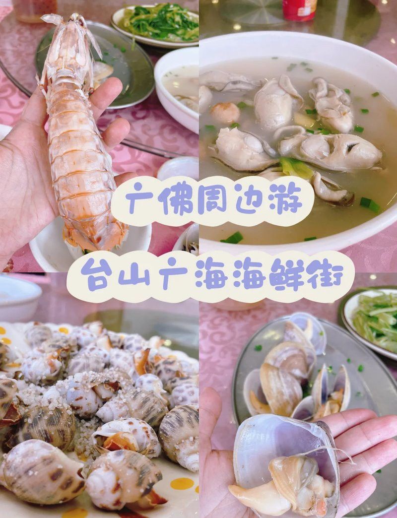 江門龍魚批發市場在哪兒啊多少錢